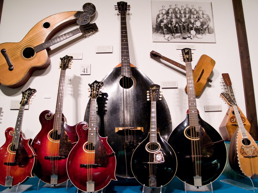 The Mandolin Family: A Comparison of the Different Types and Their&nbsp;Features